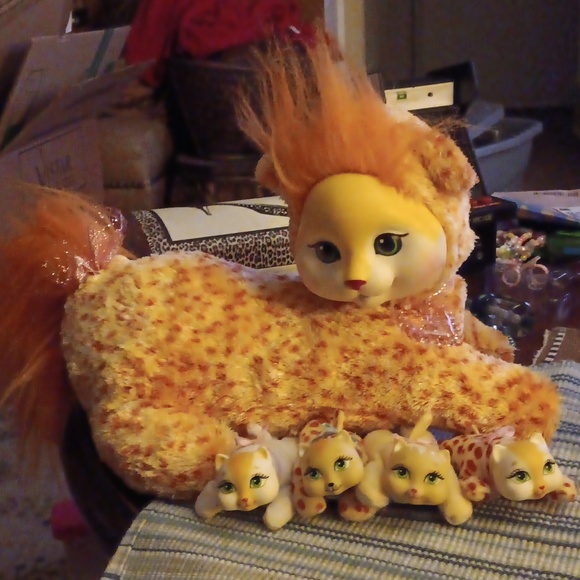 Other - Kitten Surprise Cheetah Tabby